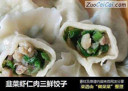 韭菜虾仁肉三鲜饺子