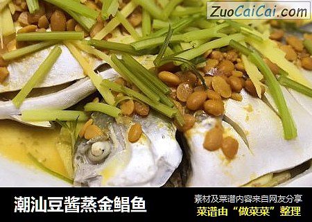 潮汕豆酱蒸金鲳鱼