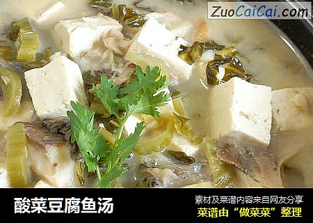 酸菜豆腐魚湯封面圖