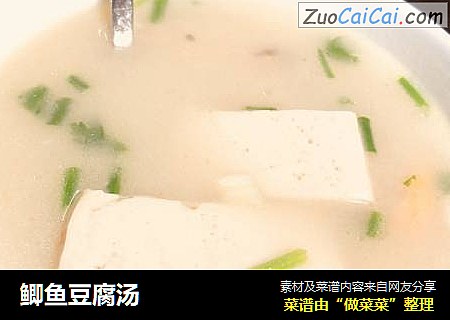 鲫魚豆腐湯封面圖