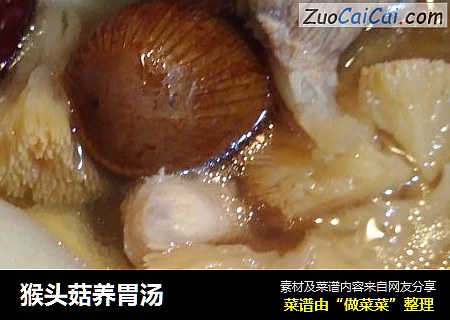 猴頭菇養胃湯封面圖