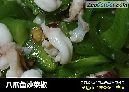 八爪魚炒菜椒封面圖