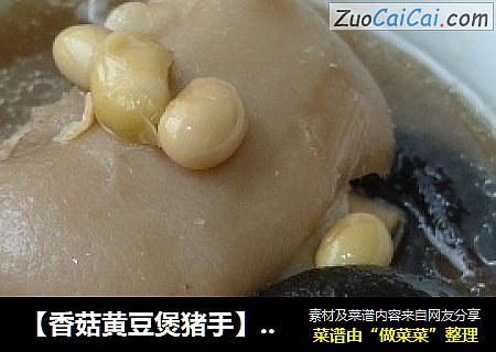 【香菇黃豆煲豬手】益氣補脾健骨骼封面圖