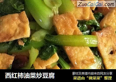 西紅柿油菜炒豆腐封面圖