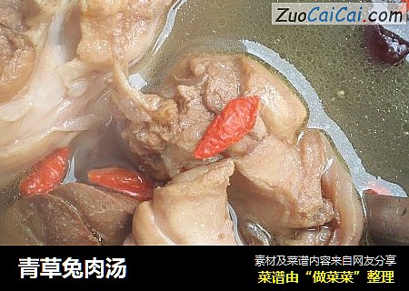 青草兔肉湯封面圖