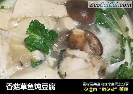 香菇草鱼炖豆腐