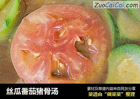 絲瓜番茄豬骨湯封面圖