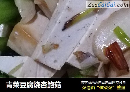 青菜豆腐燒杏鮑菇封面圖