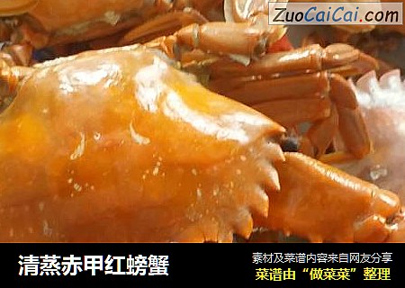 清蒸赤甲紅螃蟹封面圖