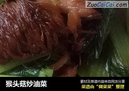 猴頭菇炒油菜封面圖