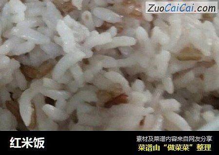紅米飯封面圖