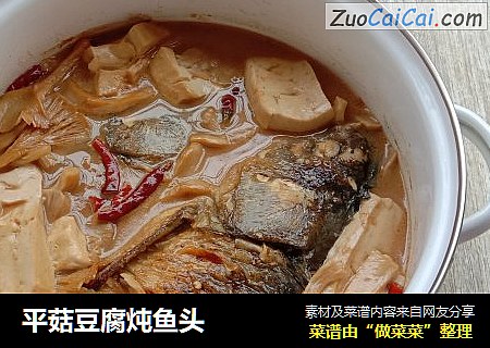 平菇豆腐炖魚頭封面圖