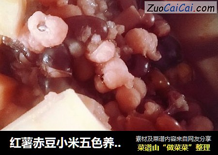紅薯赤豆小米五色養生粥封面圖