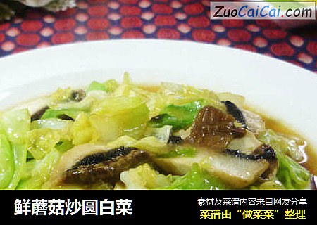 鲜蘑菇炒圆白菜