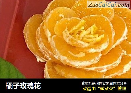 橘子玫瑰花封面圖