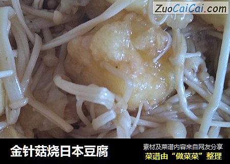 金針菇燒日本豆腐封面圖