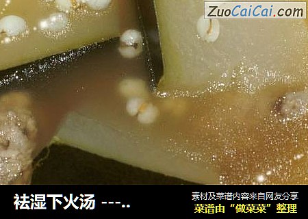 袪濕下火湯 --- 幹貝冬瓜薏米扇骨湯封面圖