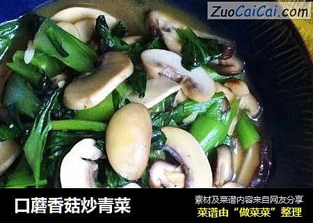 口蘑香菇炒青菜封面圖