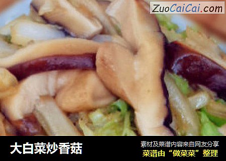 大白菜炒香菇封面圖