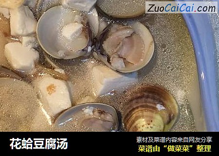花蛤豆腐湯封面圖