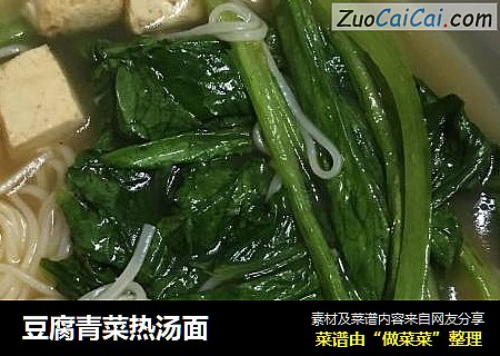 豆腐青菜熱湯面封面圖