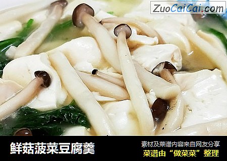 鮮菇菠菜豆腐羹封面圖