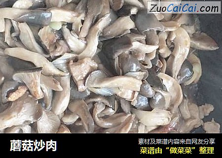 蘑菇炒肉封面圖