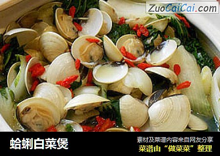 蛤蜊白菜煲
