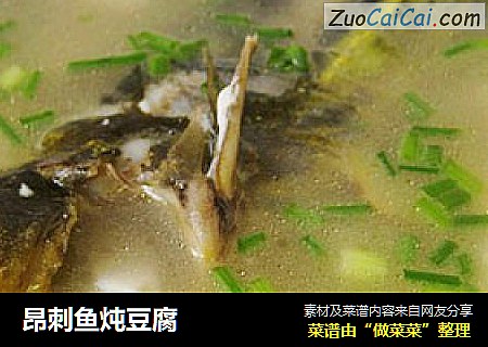 昂刺鱼炖豆腐
