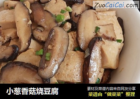 小蔥香菇燒豆腐封面圖
