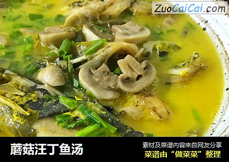蘑菇汪丁鱼汤