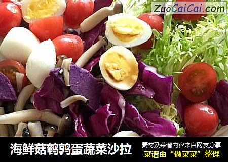 海鲜菇鹌鹑蛋蔬菜沙拉