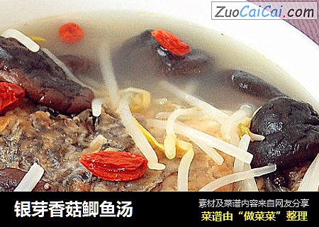 銀芽香菇鲫魚湯封面圖