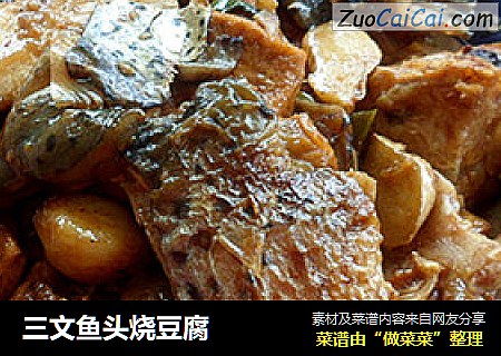 三文魚頭燒豆腐封面圖