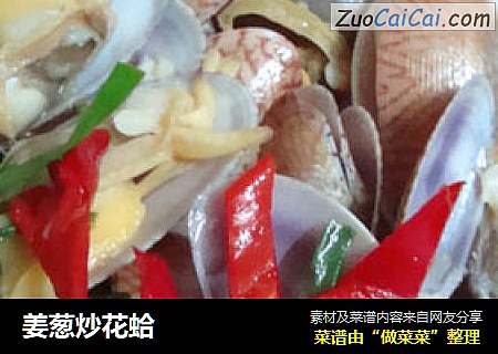 姜蔥炒花蛤封面圖