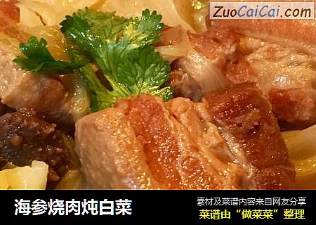 海參燒肉炖白菜封面圖