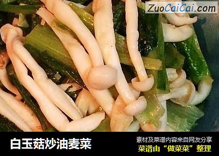 白玉菇炒油麦菜
