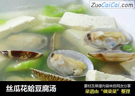 丝瓜花蛤豆腐汤