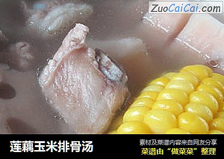 蓮藕玉米排骨湯封面圖