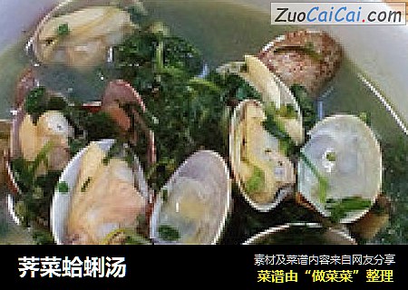 荠菜蛤蜊湯封面圖