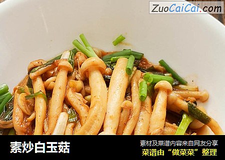 素炒白玉菇Qiuyue0815版