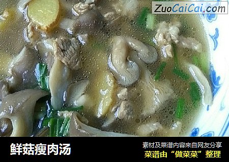 鮮菇瘦肉湯封面圖