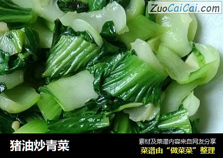 猪油炒青菜