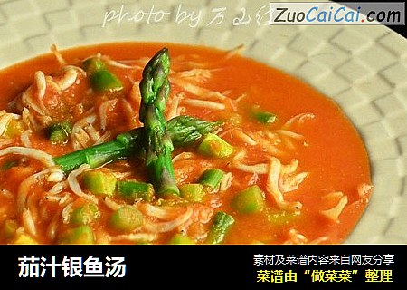 茄汁銀魚湯封面圖