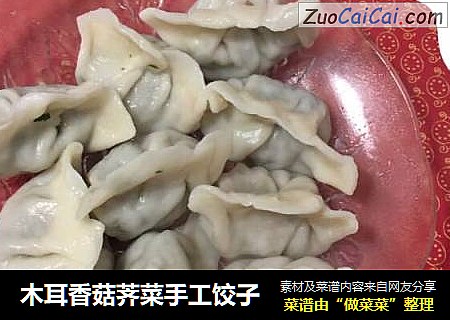 木耳香菇荠菜手工餃子封面圖