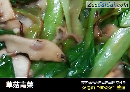 草菇青菜封面圖