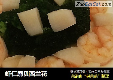 蝦仁扇貝西蘭花封面圖