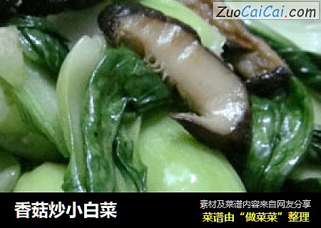 香菇炒小白菜封面圖