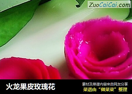 火龙果皮玫瑰花