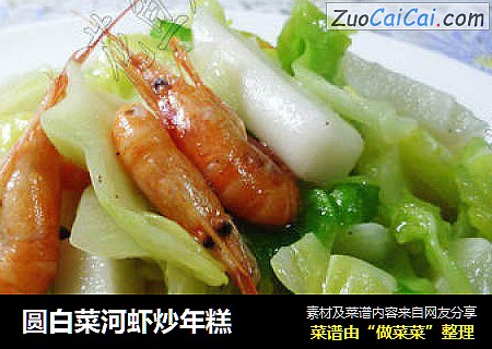 圆白菜河虾炒年糕